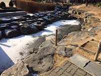 IMG_1934