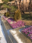 IMG_1953