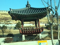 IMG_1959