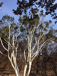 IMG_1961