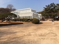 IMG_1962