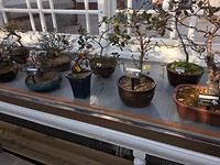 IMG_1965