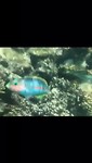 VID-20190729-WA0010