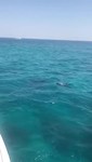 VID-20190729-WA0011