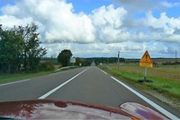 Wijds land