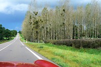 Wisselende natuur