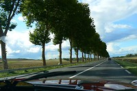 Het open landschap