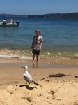 Manly Beach