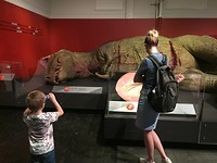 Australian Museum
