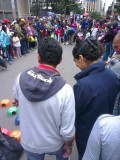 Cavia race