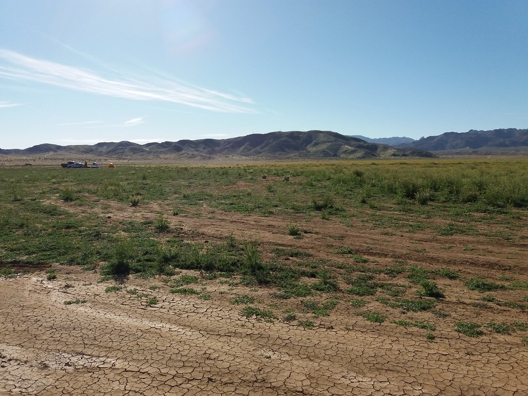 Dag 16 vrijdag 22 maart Joshua Tree NP naar Boron Reisverhaal Ruud