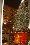 DSC00214