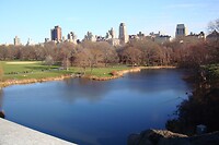 DSC00240