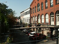 Savannah