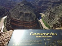 Goosenecks SP
