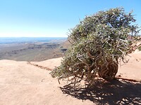 Canyonlands NP