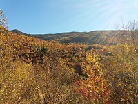 White Mountains