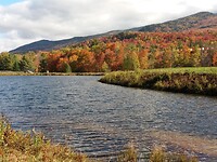 White Mountains