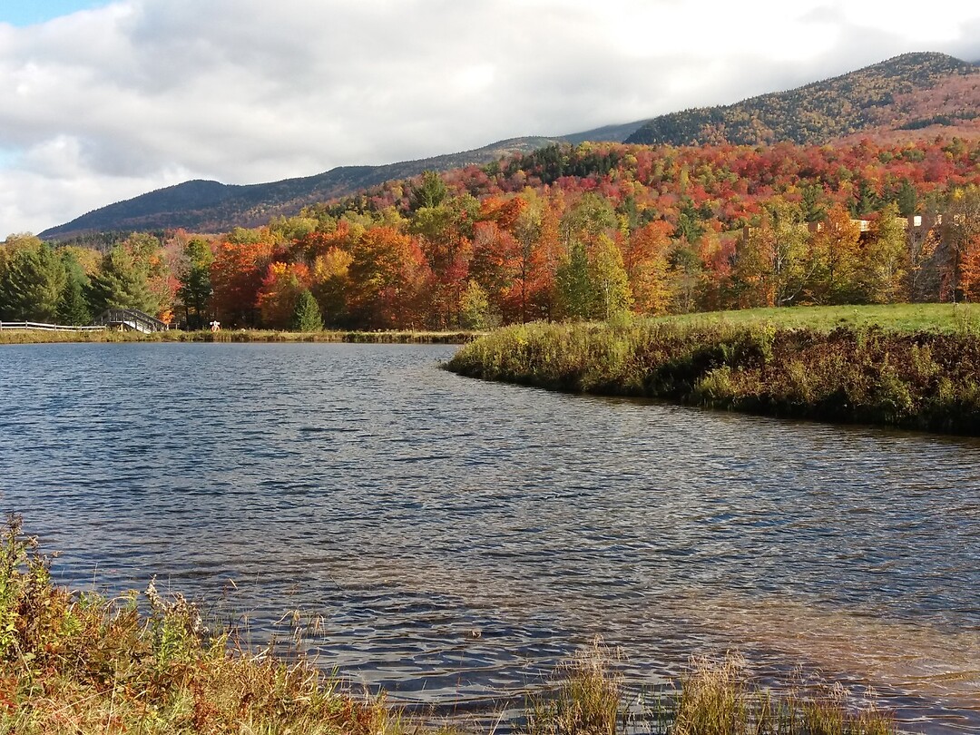 White Mountains