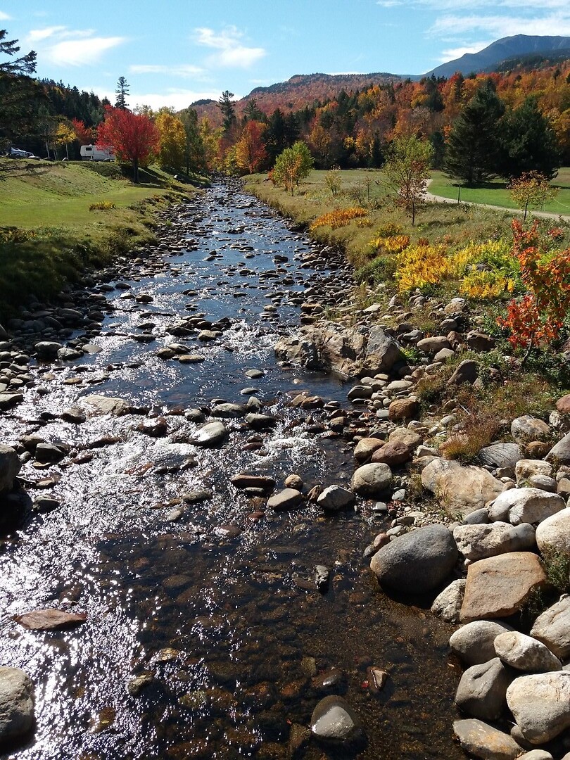 White Mountains
