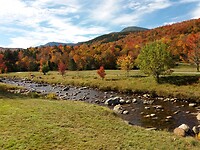 White Mountains