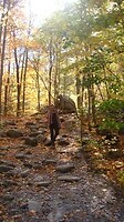 wandeling in de White Mountains