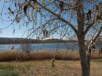 James M. Robb State Park