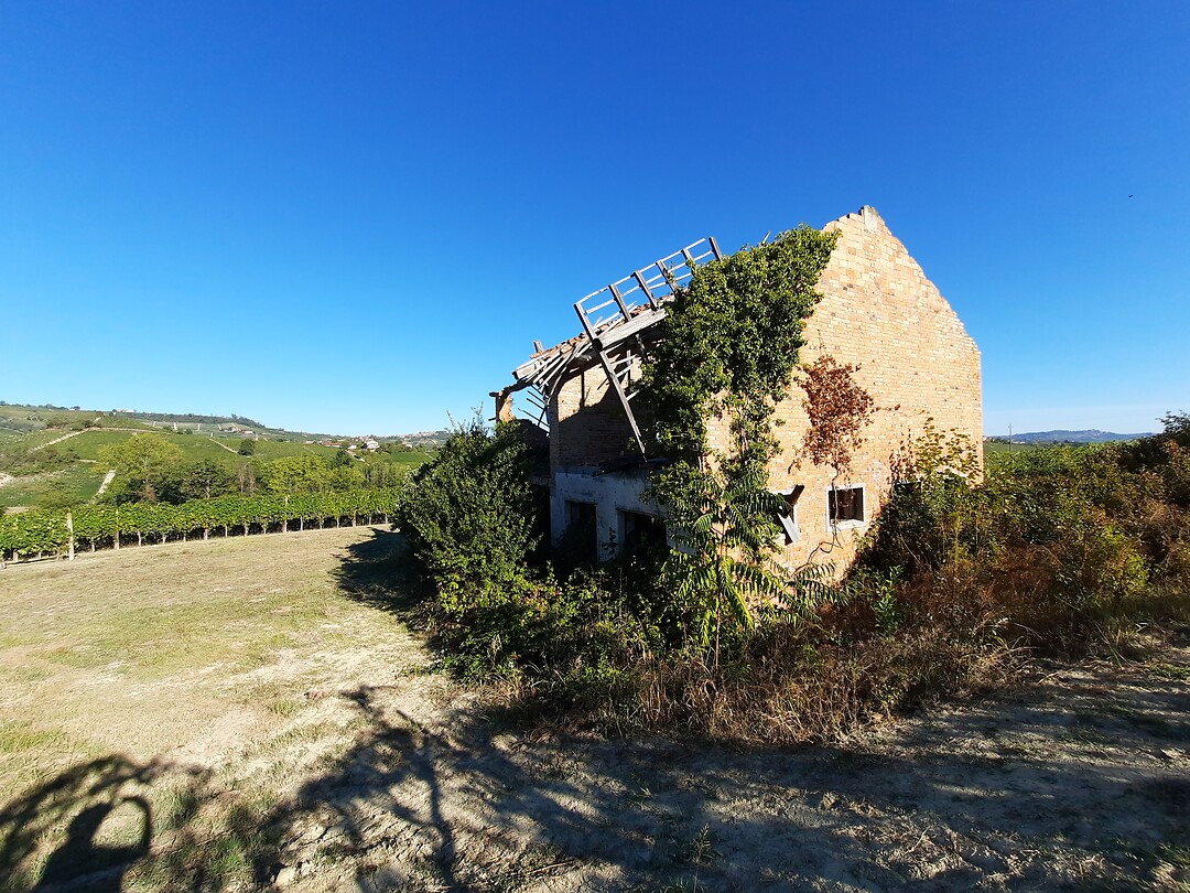 Wandeling Sentiero del Barolo nr 7