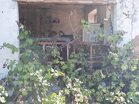 Wandeling Sentiero del Barolo nr 7