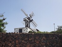Molen in Teguise