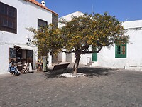 Teguise