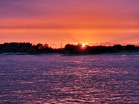 IMG-20230629-WA0003