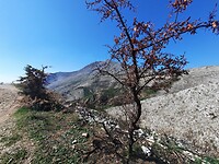 Corfu trail tussen Spartylas en Kaminaki