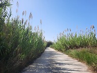 Corfu Trail tussen zee en meer van Korission