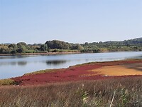 Corfu Trail tussen zee en meer van Korission