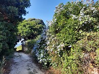 Corfu Trail tussen zee en meer van Korission