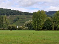 IMG-20240910-WA0000