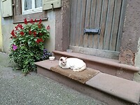 IMG-20240911-WA0002