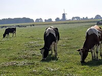 IMG-20240918-WA0007