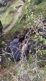 2 emmertjes water halen