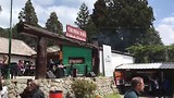 Life music in Colonia Suiza