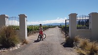 Bodega Viamonte