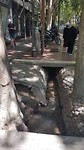 De geulen overal in de stad