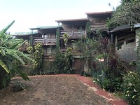 Onze bungalow in the jungle