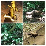 Ook de fauna is schitterend