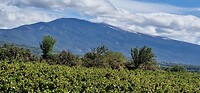 Mont Ventoux