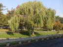 New Paltz 071