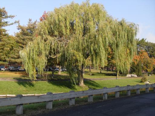 New Paltz 071