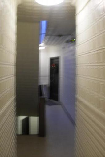SDC13959