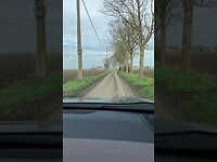 2024 11 13 1022 filmpje geitenpaadje in Belgie